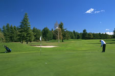 Ashburton Golf Course - Ashburton District Tourism