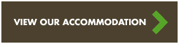 View our Accommodation at Tinwald Motel